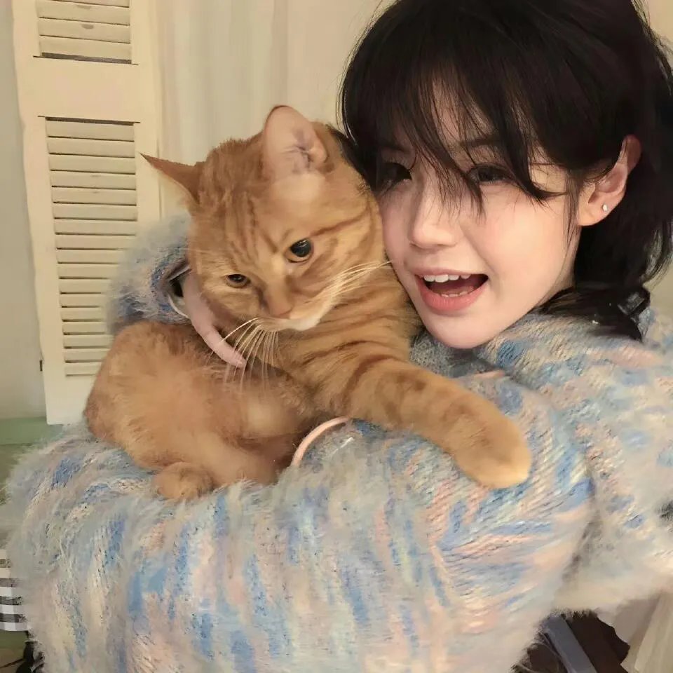 穿靴子的猫:萌猫三剑客