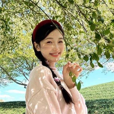 金鹿